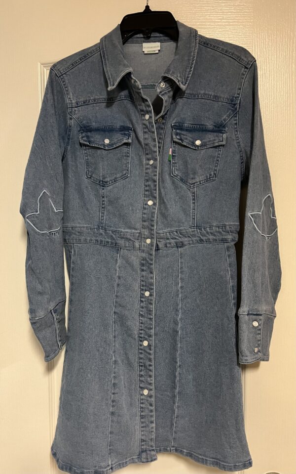 AKA Denim Dress